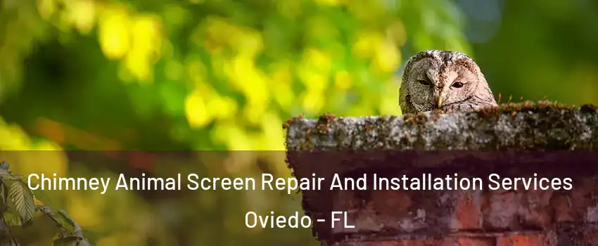  Chimney Animal Screen Repair And Installation Services Oviedo - FL