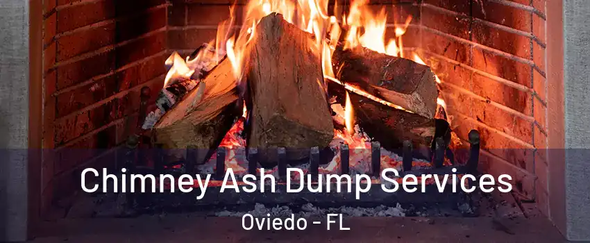  Chimney Ash Dump Services Oviedo - FL