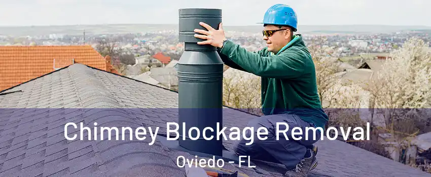  Chimney Blockage Removal Oviedo - FL