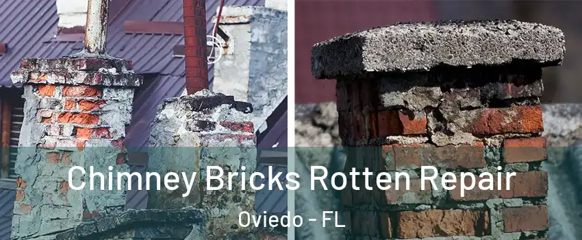  Chimney Bricks Rotten Repair Oviedo - FL