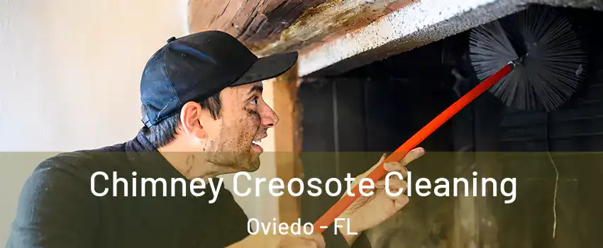  Chimney Creosote Cleaning Oviedo - FL