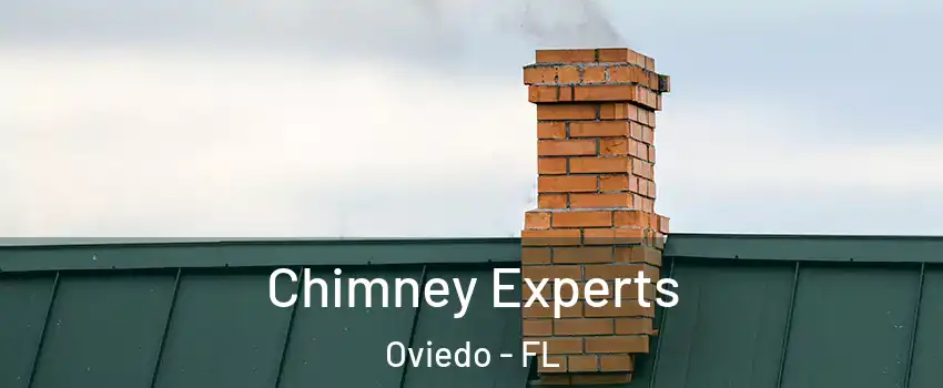 Chimney Experts Oviedo - FL