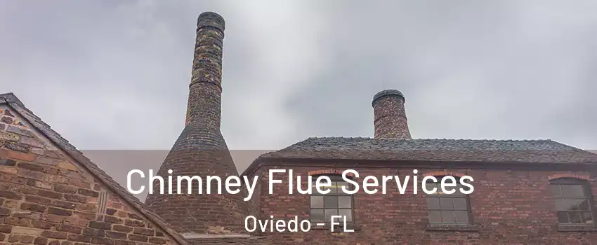  Chimney Flue Services Oviedo - FL