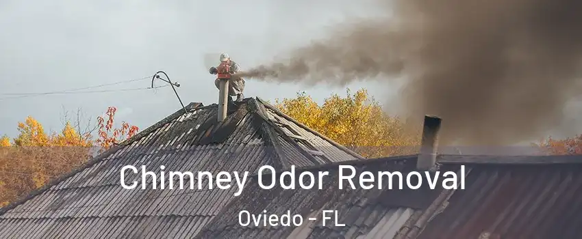  Chimney Odor Removal Oviedo - FL