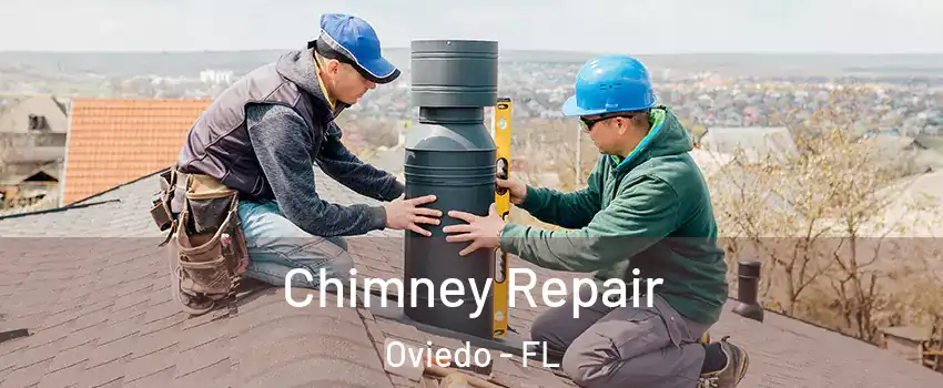  Chimney Repair Oviedo - FL