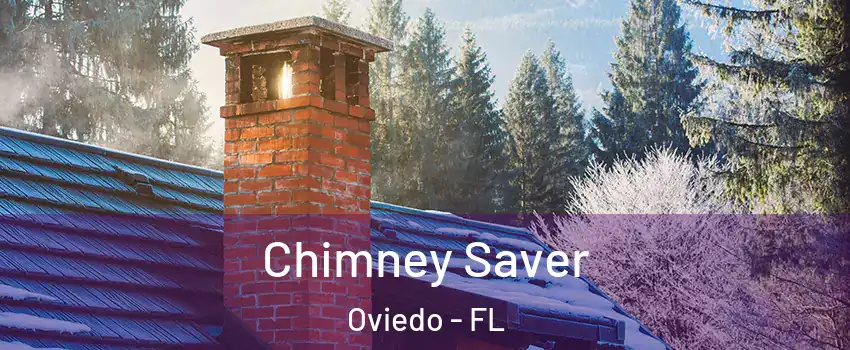  Chimney Saver Oviedo - FL