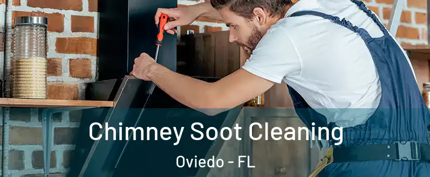  Chimney Soot Cleaning Oviedo - FL