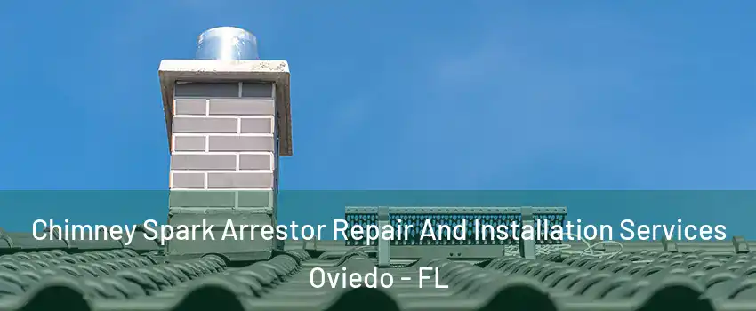  Chimney Spark Arrestor Repair And Installation Services Oviedo - FL