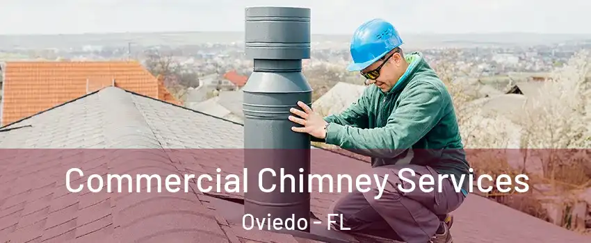  Commercial Chimney Services Oviedo - FL