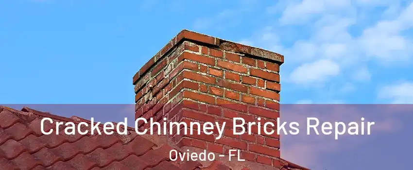  Cracked Chimney Bricks Repair Oviedo - FL
