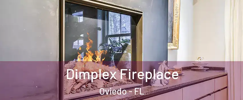  Dimplex Fireplace Oviedo - FL