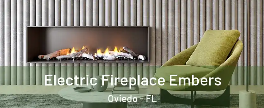  Electric Fireplace Embers Oviedo - FL