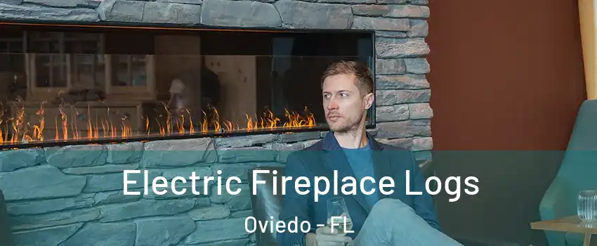  Electric Fireplace Logs Oviedo - FL