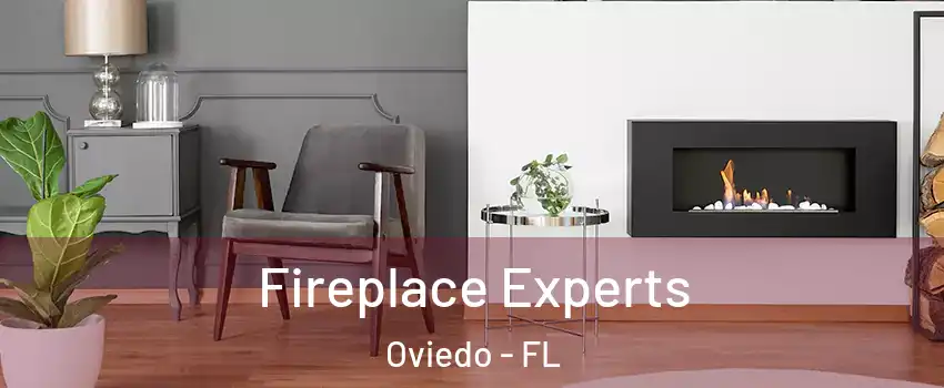  Fireplace Experts Oviedo - FL