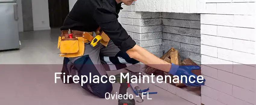  Fireplace Maintenance Oviedo - FL