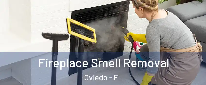  Fireplace Smell Removal Oviedo - FL