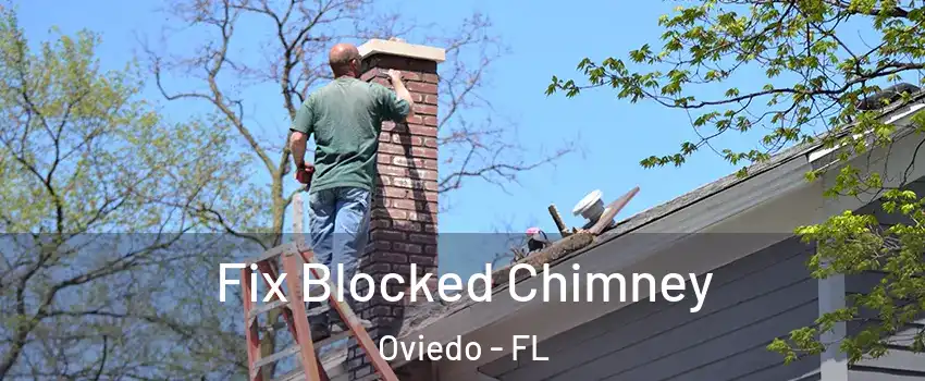  Fix Blocked Chimney Oviedo - FL