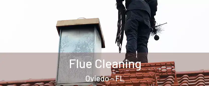  Flue Cleaning Oviedo - FL