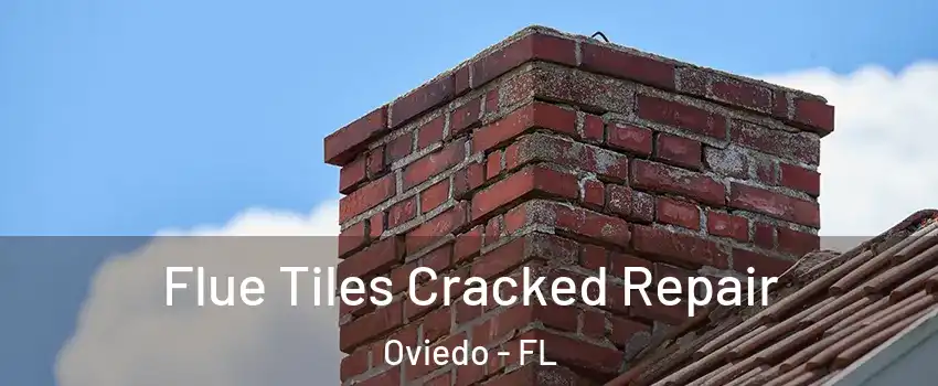  Flue Tiles Cracked Repair Oviedo - FL
