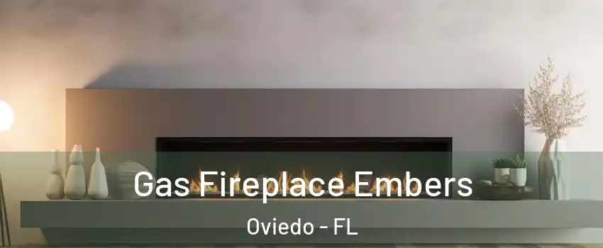  Gas Fireplace Embers Oviedo - FL