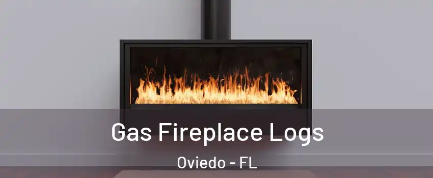  Gas Fireplace Logs Oviedo - FL
