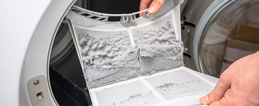 Best Dryer Lint Removal Company in Oviedo, Florida