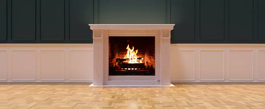 Napoleon Electric Fireplaces Inspection Service in Oviedo, Florida