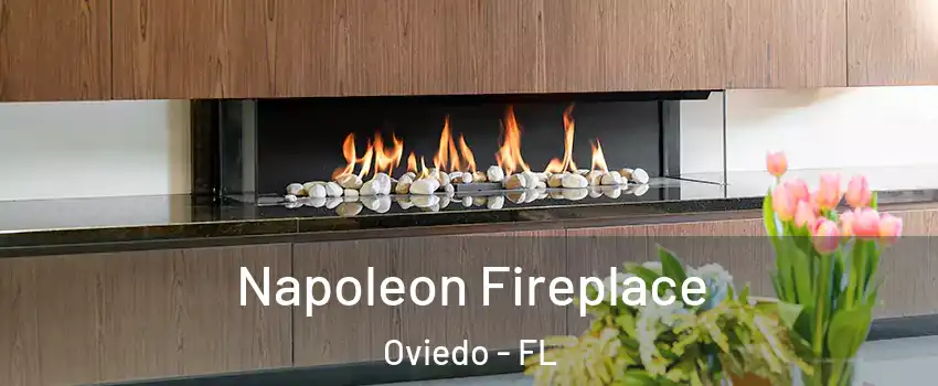 Napoleon Fireplace Oviedo - FL