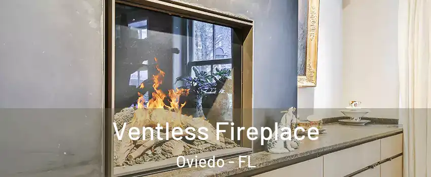  Ventless Fireplace Oviedo - FL