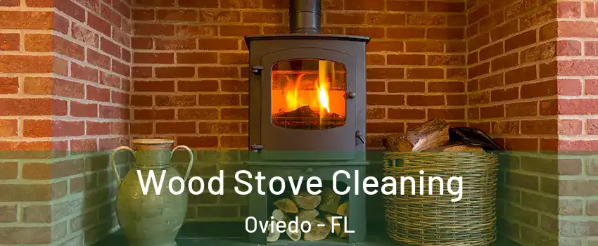  Wood Stove Cleaning Oviedo - FL